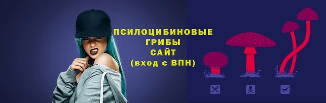 стафф Верхний Тагил